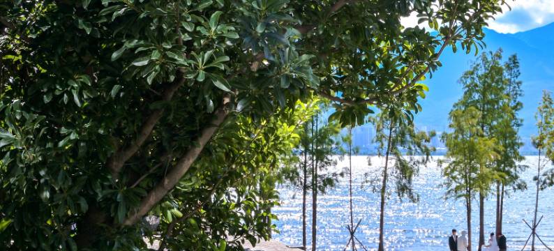 大理道合院海景度假酒店图片