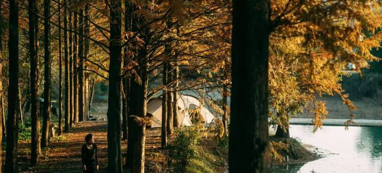 杉咖咔·Camping山林野营度假民宿图片