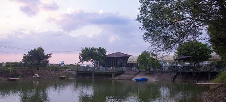 禅农谷民宿(惠州平潭机场金原店)图片