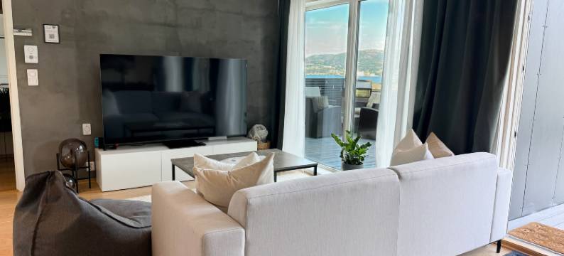 Large luxurious apartment with private terrace and parking图片