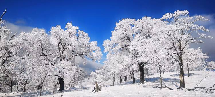 上湖上民宿图片