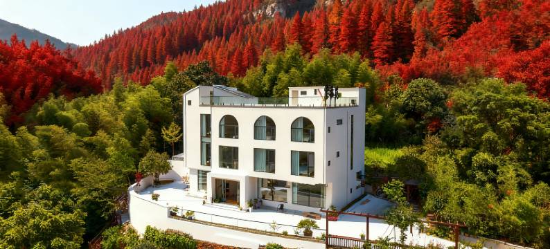 紫藤苑丨360°竹海云烟·亲子·度假美宿(泾县月亮湾风景区店)图片