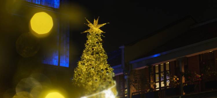 上海建业里嘉佩乐酒店图片