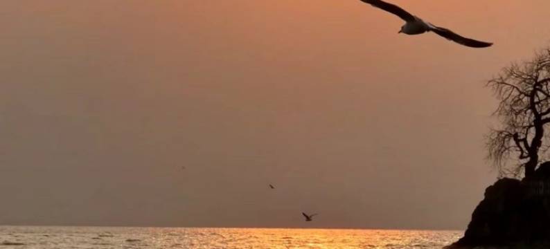 良屿coastline·海景美宿(大理洱海店)图片