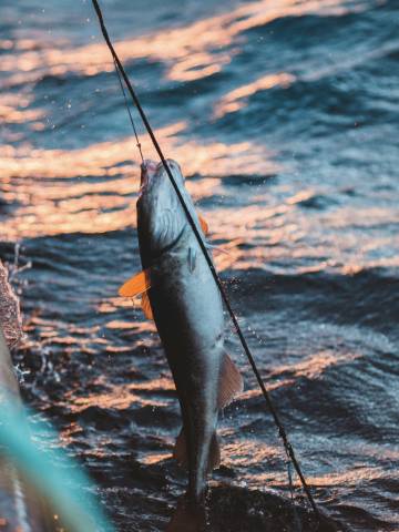 金茂三亚亚龙湾丽思卡尔顿酒店图片