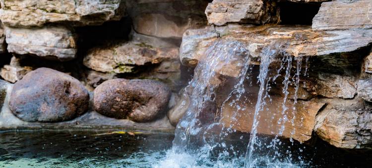 苏州树山书香世家温泉酒店图片
