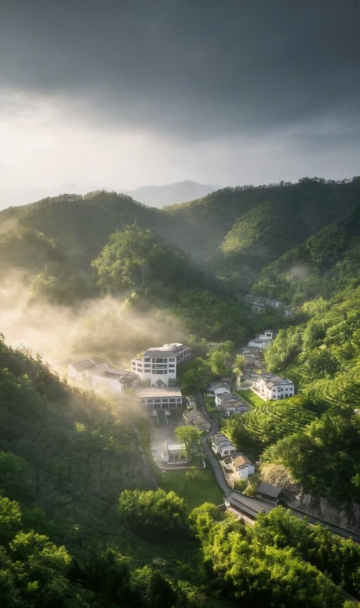 Hotel Overview