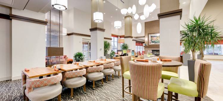 北休斯敦斯普林希尔顿花园酒店(Hilton Garden Inn North Houston/Spring)图片