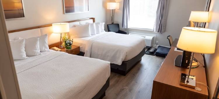 艾瑞斯科德角酒店(Iris Hotel Cape Cod)图片