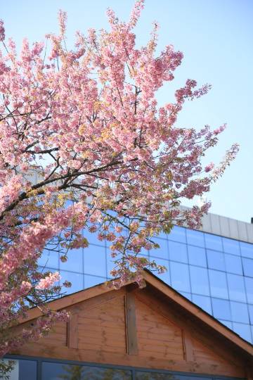 昆明湖景酒店图片