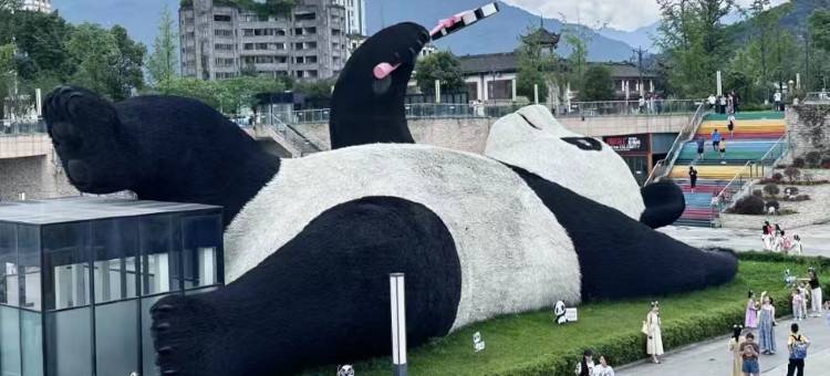 舒程酒店(都江堰景区南桥店)图片