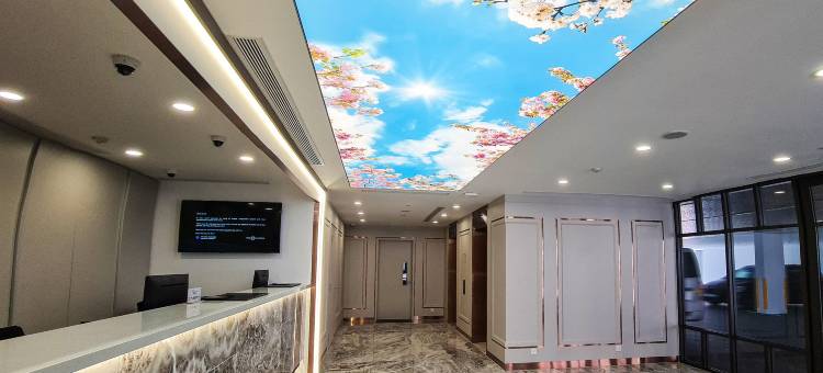 新加坡81酒店-皇宫(Hotel 81 Palace Singapore)图片