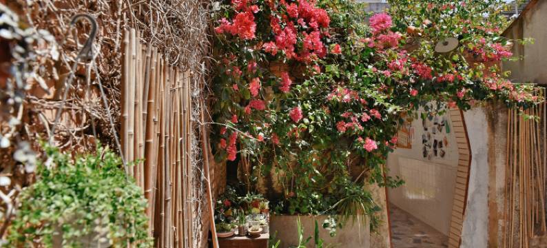 泉州一刻民宿(西街开元寺店)图片