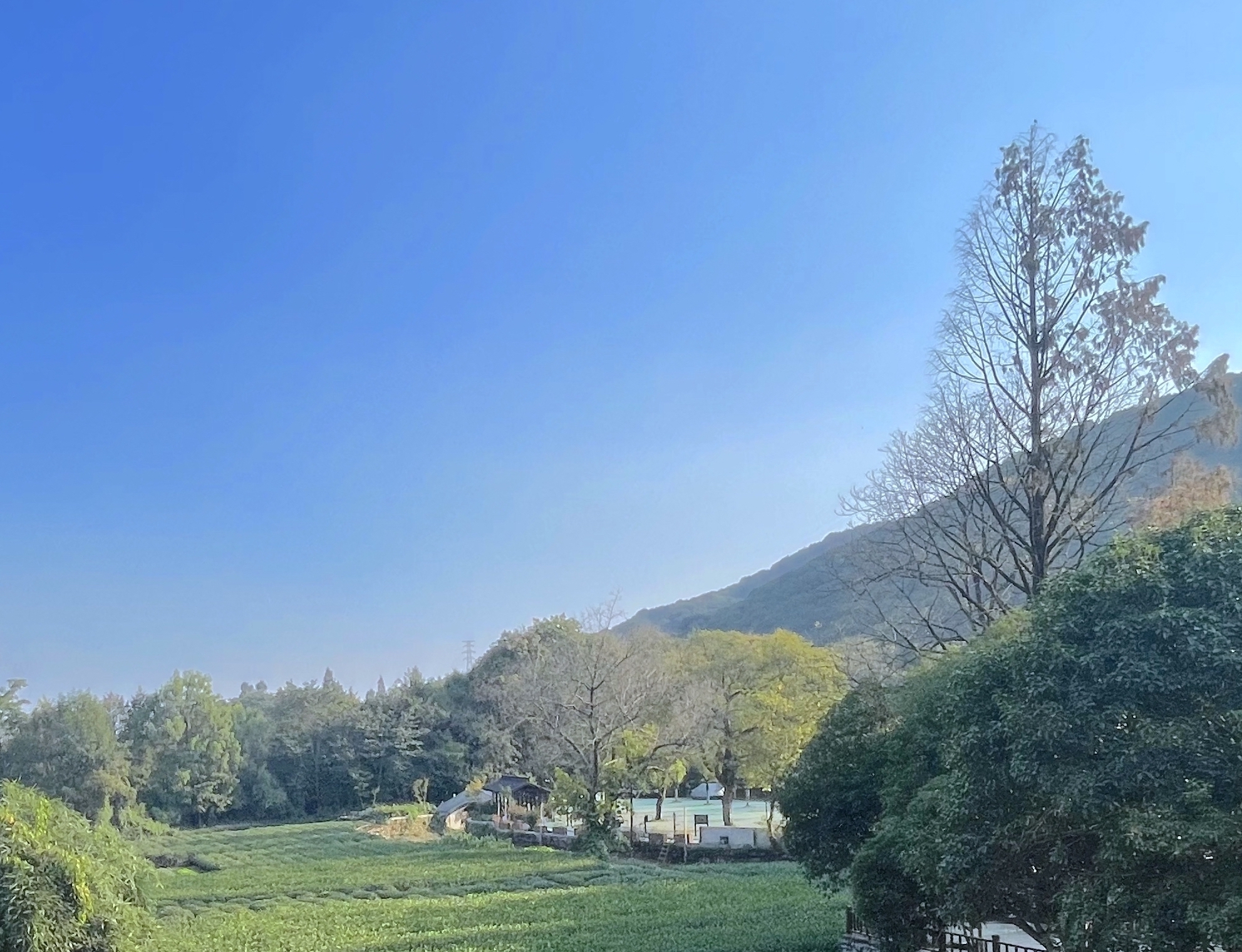 Hangzhou Yggdrasil Yunqi HotelOver view