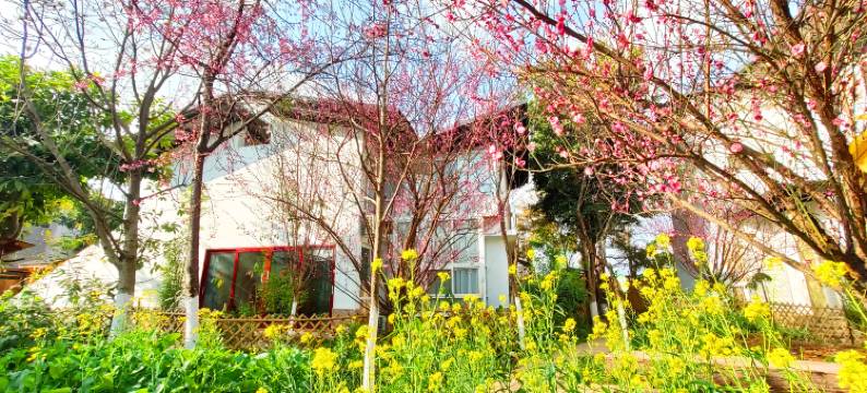 玉溪映月潭温泉酒店图片