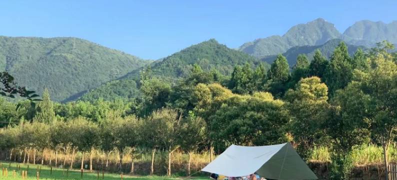 荷塘月色民宿(蓝田荞麦花海店)图片