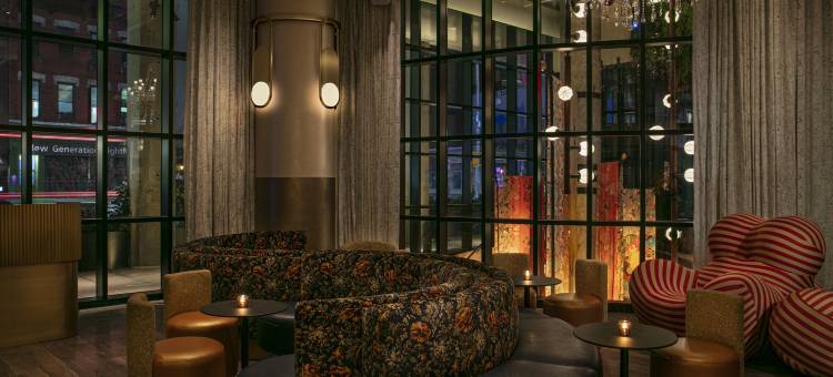 纽约市下东区Moxy酒店(Moxy NYC Lower East Side)图片