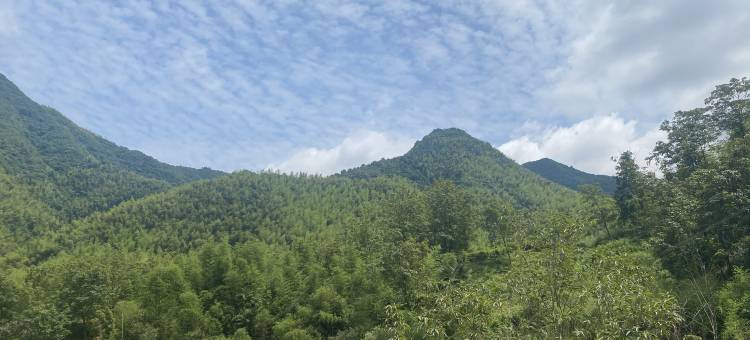 安吉林湾民宿(龙王山漂流店)图片