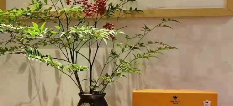 桂林逸蝉酒店(会展中心店)图片