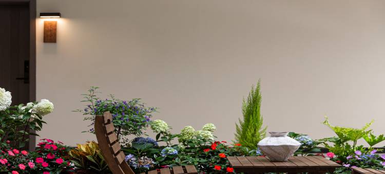 寻隐·日出山舍丨Chasing cloud 远山黛·静谧花园(古城东门店)图片