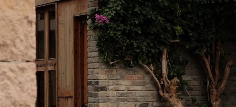 霞浦草木人茶宿图片