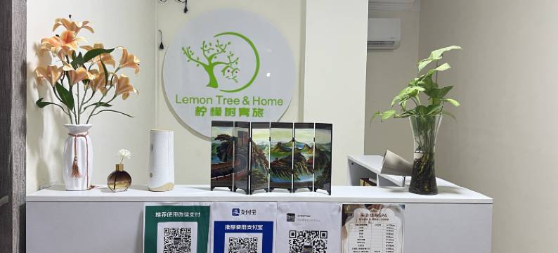 柠檬树青旅2店(Lemon Tree & Home 2)图片