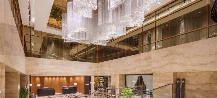 沈阳云湾酒店(奥体中心地铁站盛京大奥莱店)图片