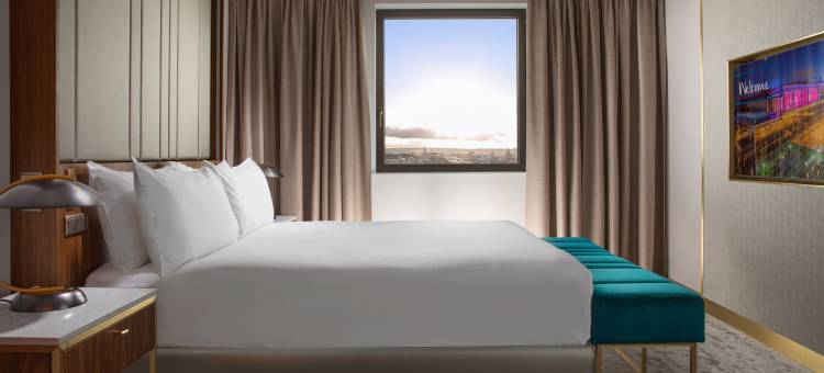 布拉格希尔顿酒店(Hilton Prague Hotel)图片