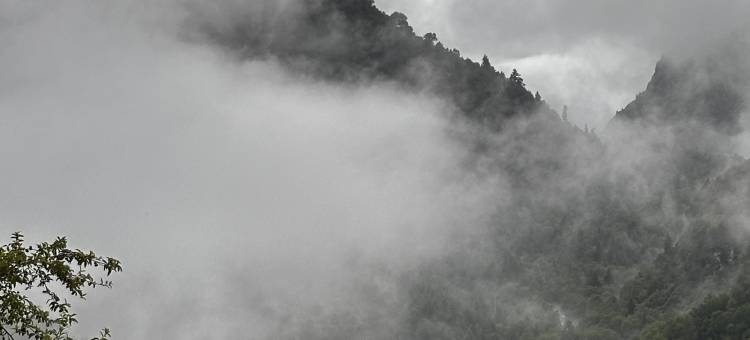 孟乡之家民宿图片