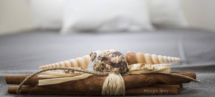 大洋路阿波罗湾啤酒厂酒店(Great Ocean Road Brewhouse Apollo Bay)图片