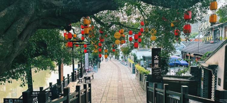 平阳紫京大酒店图片