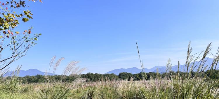 上清·源境民宿(龙虎山景区店)图片