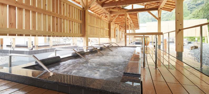 奥道后壹汤之守(Okudogo Ichiyunomori)图片