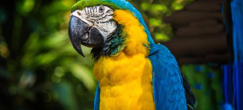 西柚国际公寓(广州南站会江地铁站店)图片