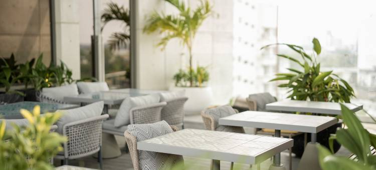 瑟莎雅旅舍 | 科伦坡餐吧(SeSaya Poshtel & Bistro - Colombo's Newest and Finest Poshtel Dorms and Rooms)图片