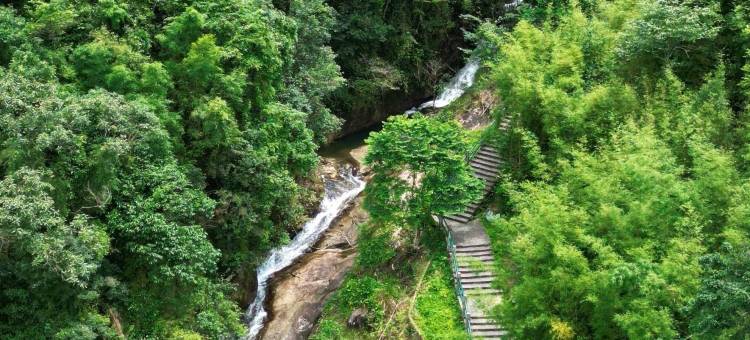 龙门南昆山明月竹海山庄图片