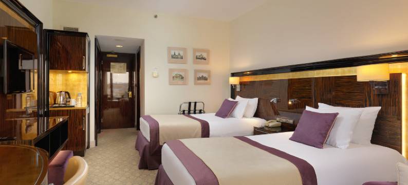 莫斯科 - 世界贸易中心(Plaza Garden Moscow WTC)图片