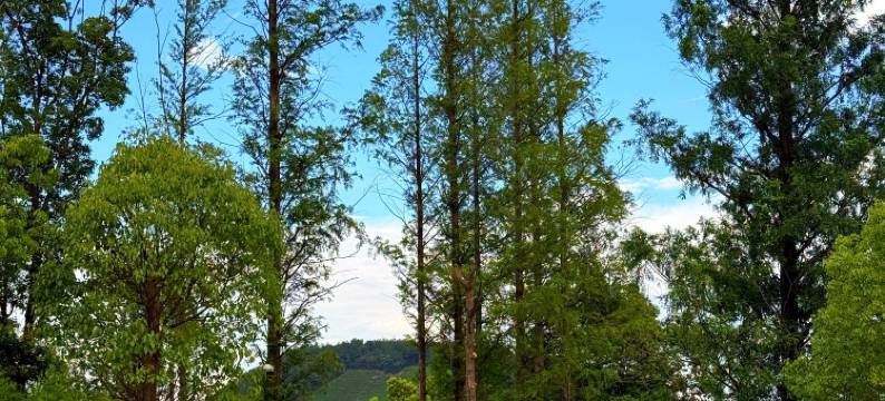 山风渔火·长兴湖心岛营地图片
