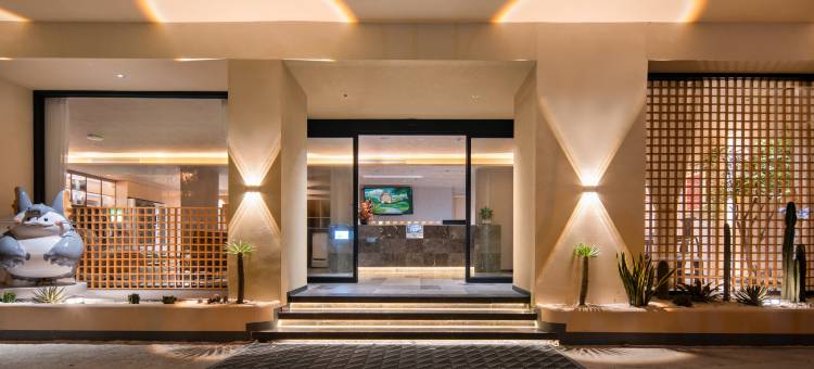 猫的远方酒店(大理洱海公园高铁站店)图片