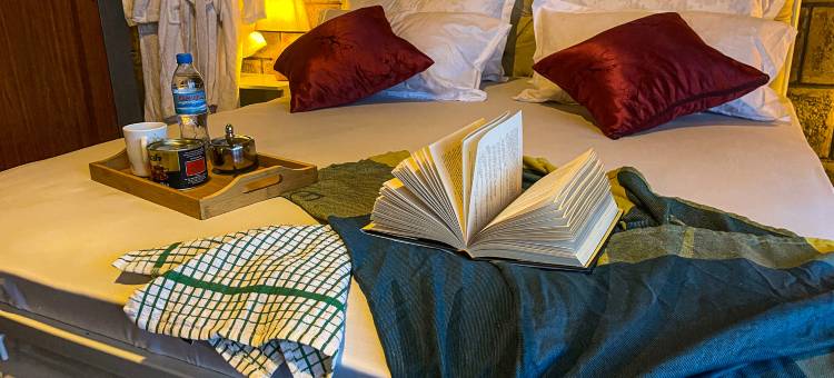 栖心生态别墅(Home Villa Eco Boutique)图片