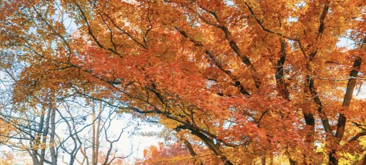 YA HAO HOTEL雅豪酒店(南京奥体中心稻香音乐空间店)图片