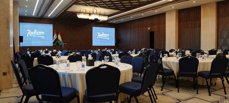 埃尔比勒丽筠酒店(Radisson Hotel & Residences Erbil)图片