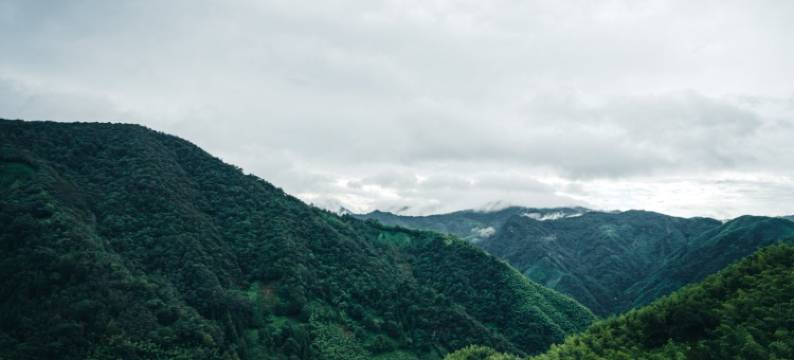 微泮·云栖竹海温汤泳池观景轻奢度假美宿(安吉藏龙百瀑店)图片