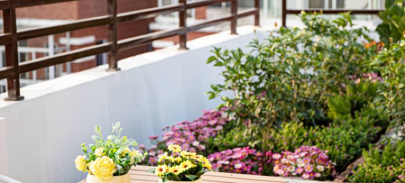 寻鲤·泉遇民宿(西街开元寺店)图片