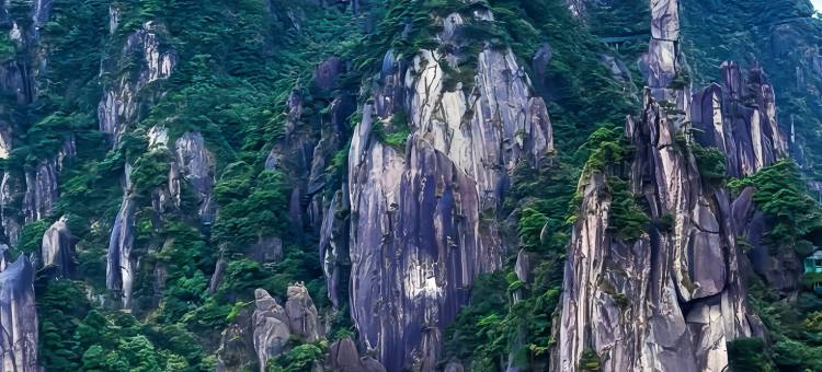过云山居·villa设计师度假美宿(三清山风景区店)图片