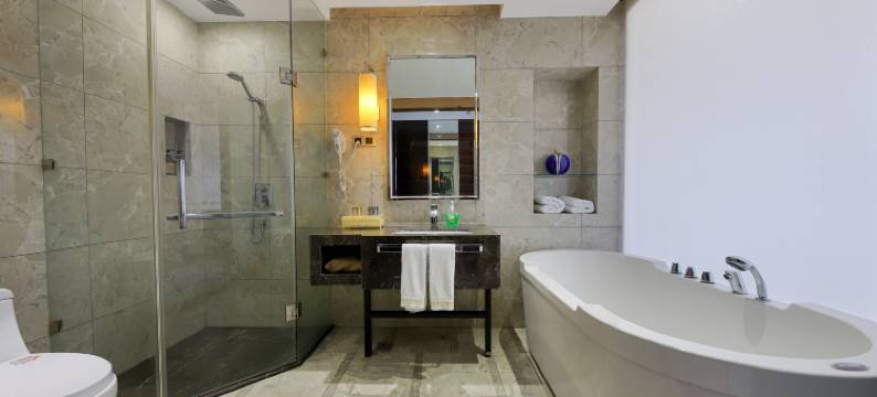 西华温哥华国际酒店图片