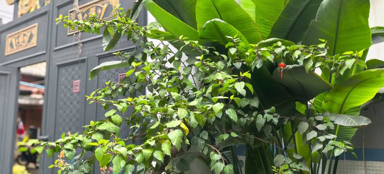 弥勒怡泉源民宿(湖泉生态园店)图片