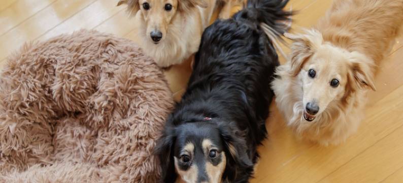 龟乃井酒店大和平群(Kamenoi Hotel Yamato Heguri)图片