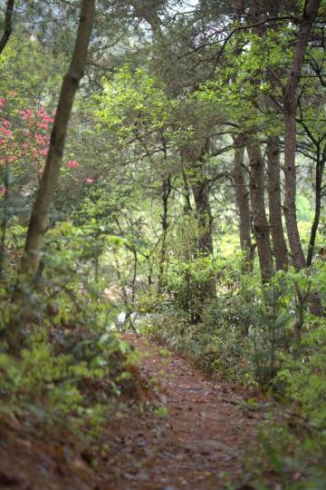 携程度假农庄安徽金寨大湾店图片