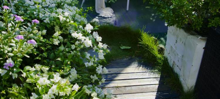 舟洲美舍(涠洲岛店)图片